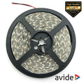 Fita 600 Leds 2835 3000K 12V 5M Ip65 Avide - Tauu,pt