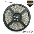 Fita 300 Leds 2835 6400K 12V 4.8W/M 5M Ip65 Avide - Tauu.pt