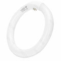 Lâmpada Circular 22W 230V 1200Lm 6500K - Tauu,pt