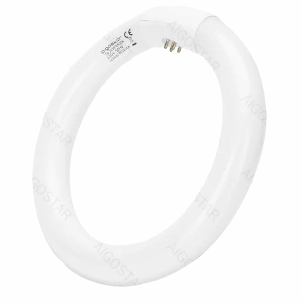 Lâmpada Circular 22W 230V 1200Lm 6500K - Tauu,pt