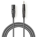 Cabo Xlr 3P Macho / Mini Jack 3,5Mm Macho 3M Cinza - Tauu,pt