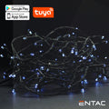 Grinalda 120 Led 6400K App Tuya 220V 9M - Tauu,pt