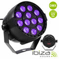 Projetor Par Uv 12 Leds 2W Dmx Ibiza - Tauu.pt
